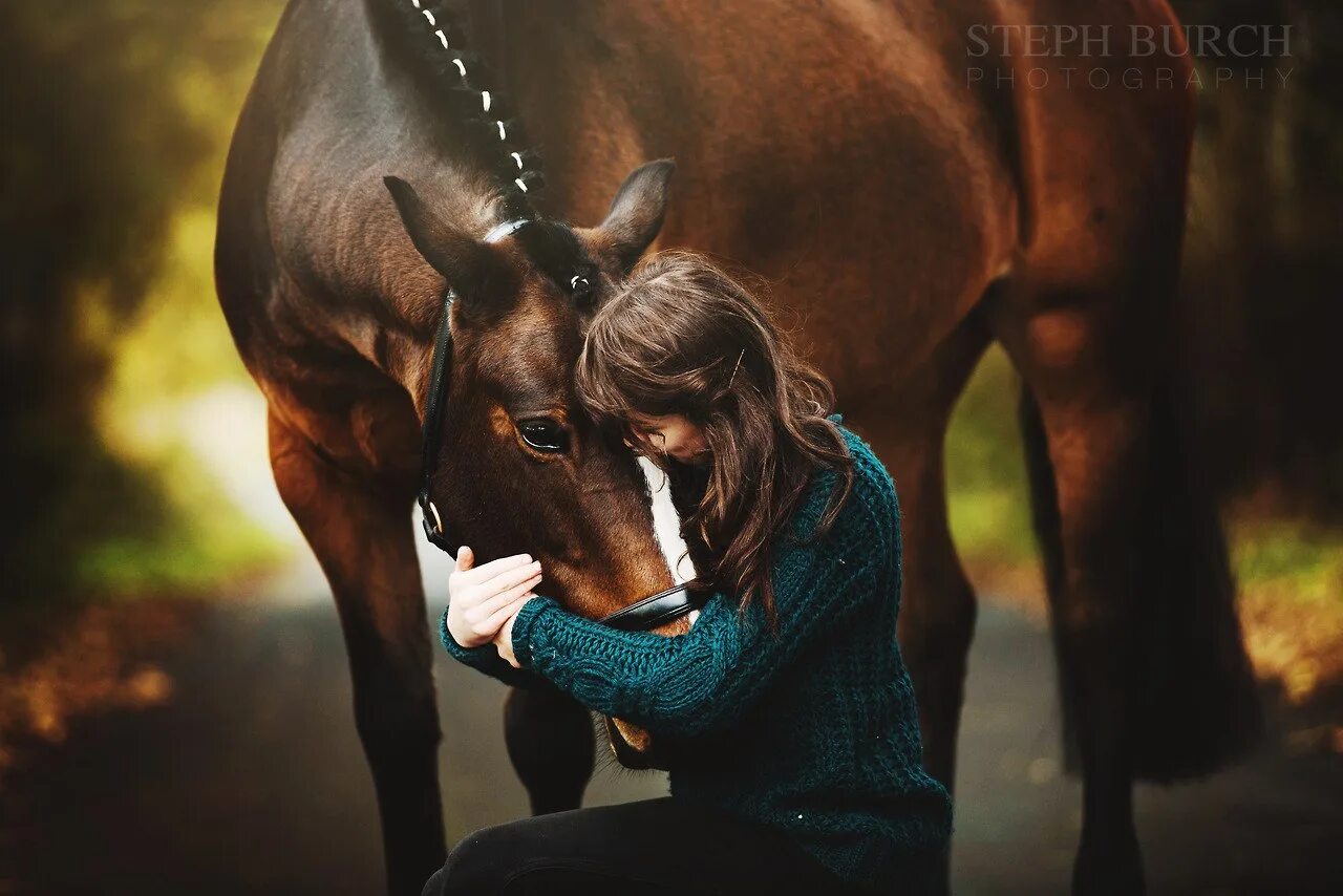 Чел конь. Человек на лошади. Обнимает лошадь. Лошадь итчеловек. Лошадь и человек любовь.