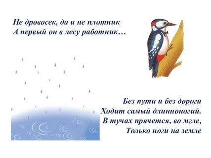 Без пути и без дороги ходит