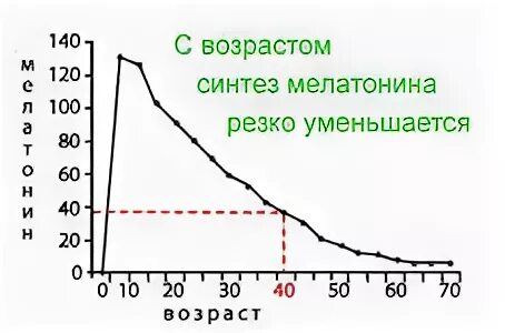 Выработка мелатонина с возрастом. Мелатонин и Возраст. Выработка мелатонина в зависимости от возраста. График выработки мелатонина.