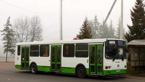 Железногорск курская область автобус