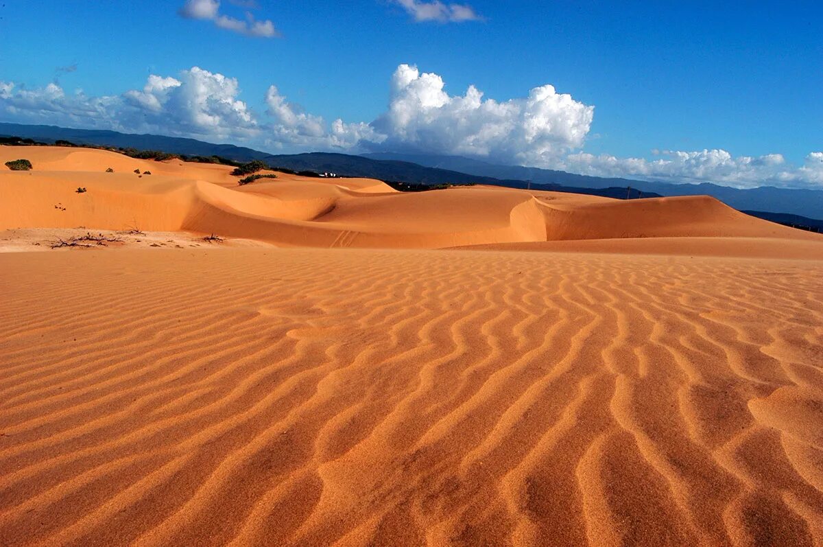 Зима в пустыне. Снег в сахаре. Снег в сахаре. Пустыня летом и зимой. Пустыни и полупустыни евразии.
