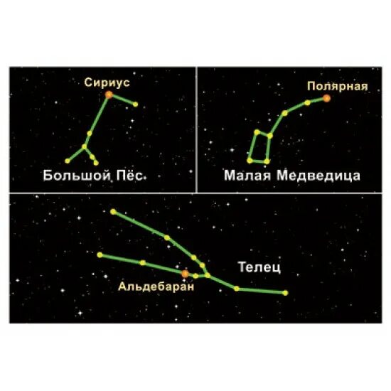 Модели созвездий Телец большой пес малая Медведица. Малая Медведица, большая Медведица, большой пёс, Телец. Сириус и большая Медведица. Полярная звезда и Сириус в созвездии малая Медведица. Сириус какой класс