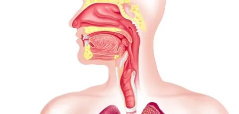 Go for the throat