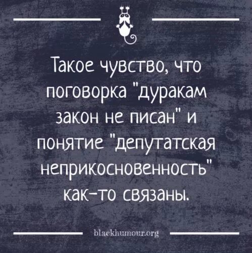 Дурак дураком как пишется. Дуракам закон не писан. Поговорки про дураков. Поговорка дуракам закон не писан. Смешные поговорки про дураков.