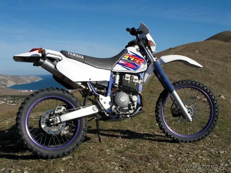 Yamaha ttr250. Yamaha ttr 250 raid. Yamaha ttr 250 скремблер. Yamaha ttr250 мотоцикл. Yamaha ttr250.