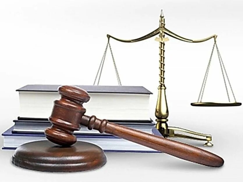 Чем отличается работа от услуги. Всероссийский день юридической помощи. Чем работа отличается от умлуши. Ведение дела в арбитражном суде. Работы и услуги в законодательстве.