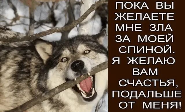 Не держи зла на людей. Рассказ я на вас зла не держу. Я не держу зла. Не держи в себе зло -пукни. Я зла не помню.