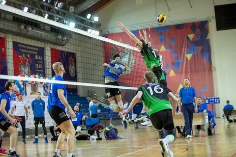 Волейбол 2014
