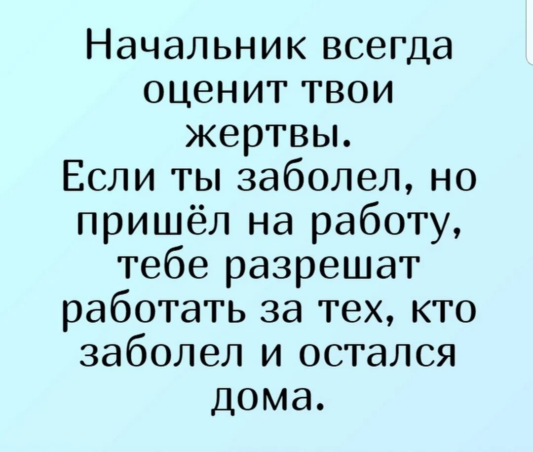 Смешные фразы про начальство. Смешные фразы про начальника. Анекдот про начальника. Смешные высказывания про начальника. Если заболели не приходите