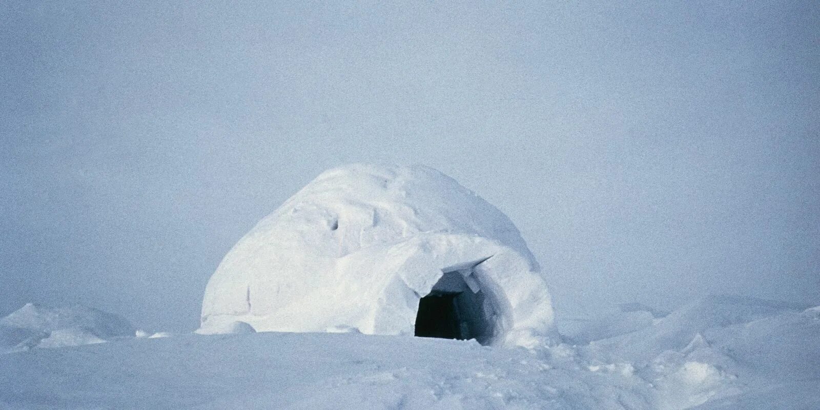 Альта иглу отель из льда. Современное двухэтажное игло. Игла для инъекций 24g 0,55*100. Народы гор и степей. Кд файн иглы 30 g.