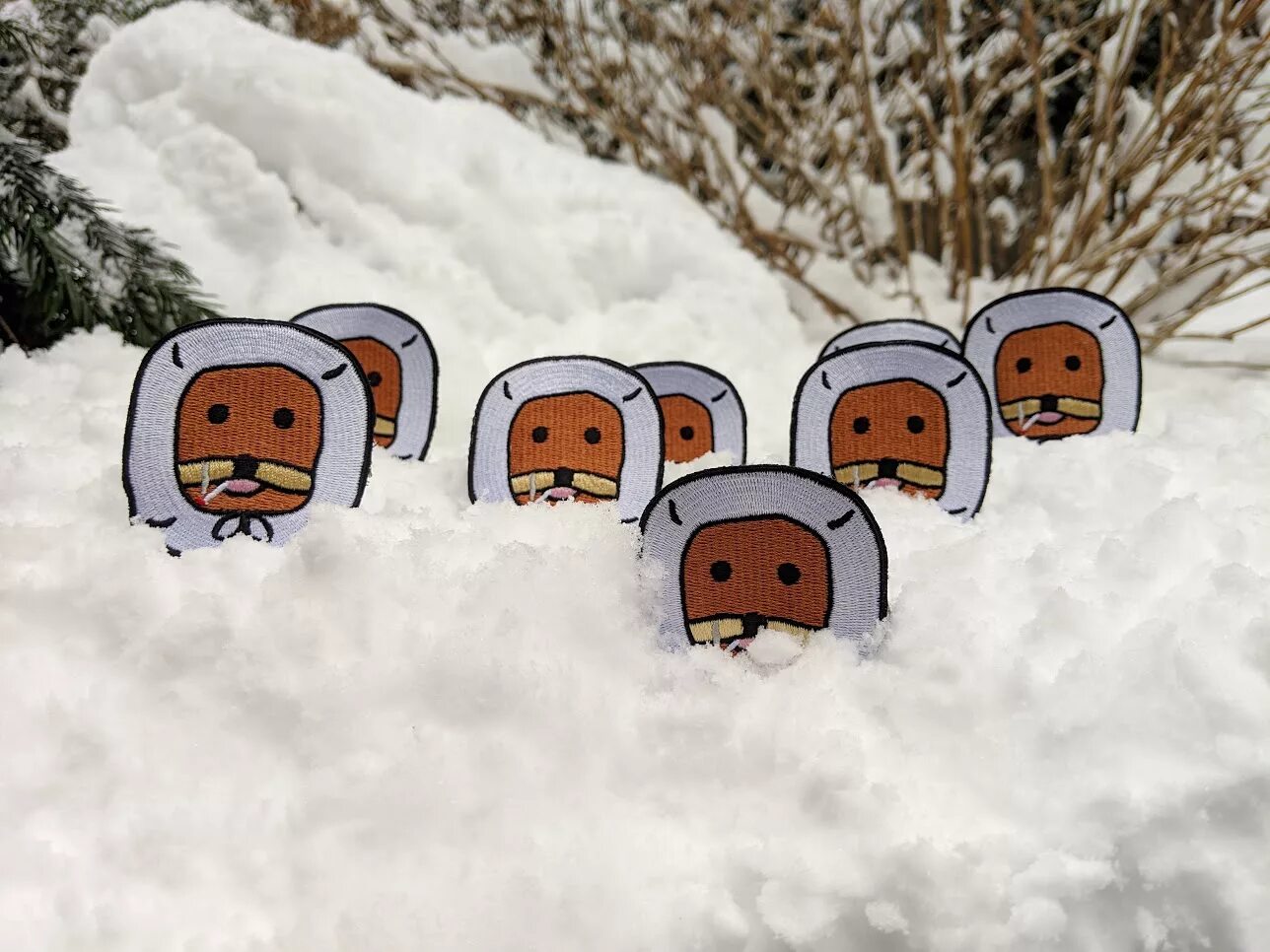 Snow start. Snow speak finnish. when trees start speaking vietnamese.
