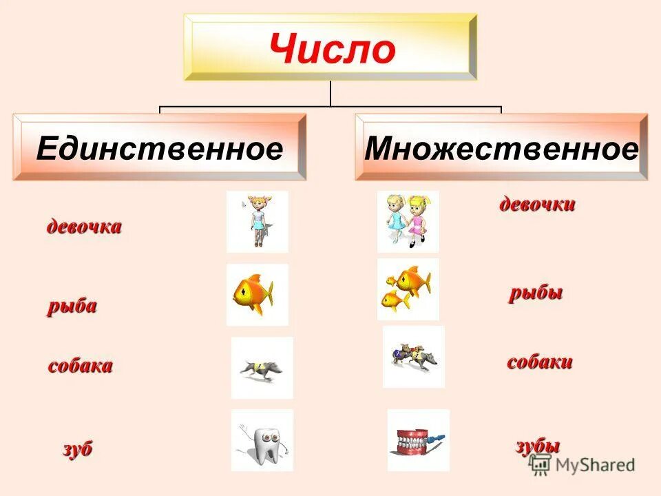 Множественное слово вход. Множественное число имен существительных 2 класс. Единственное и множественное число. Единственное число и множественное число. Существительные единственного и множественного числа.