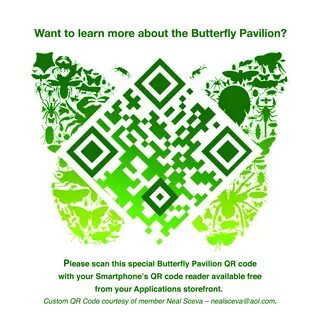 Qr код древесина