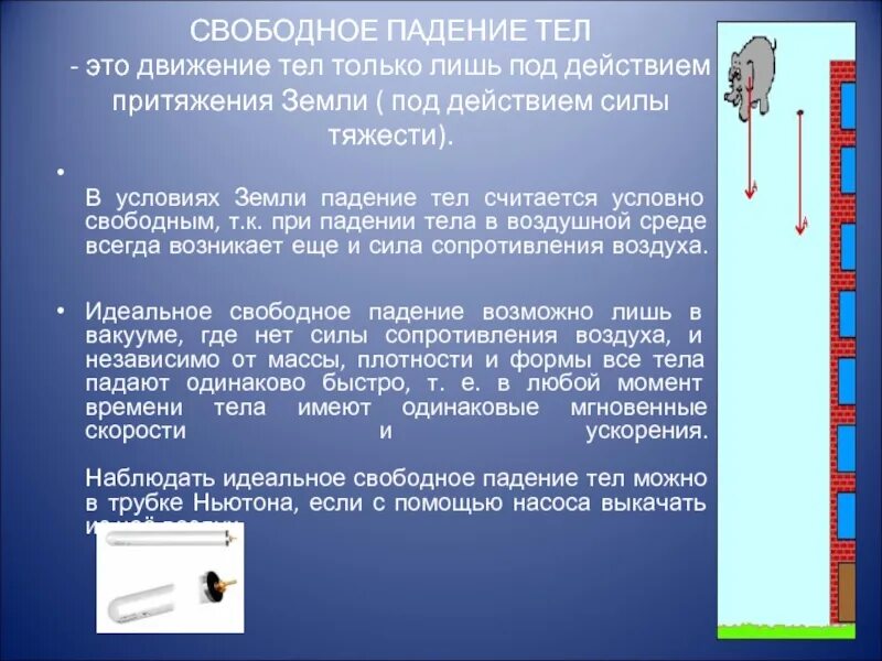 Свободное падение тел. В Свободном падении. Условия свободного падения тела. Падение тела. Какого человека можно считать свободным 13.3