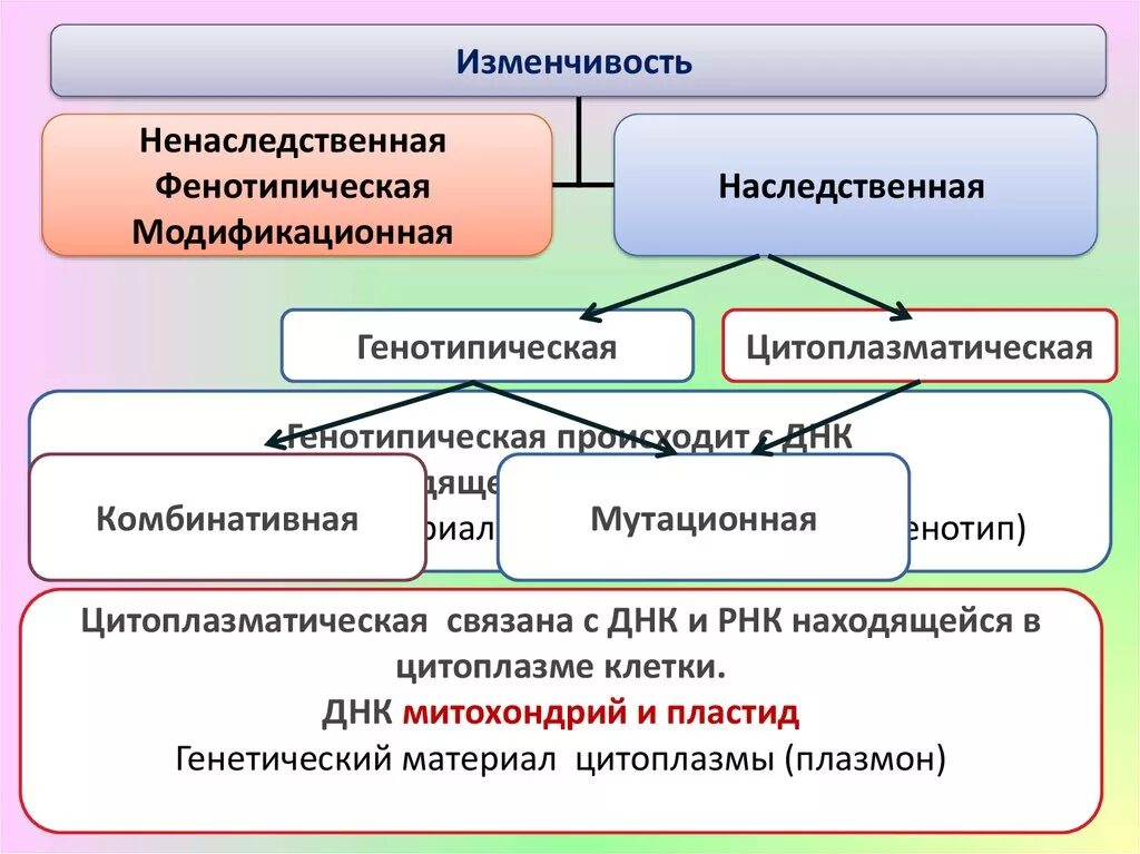 Мутационная и модификационная изменчивость. Ненаследственная модификационная изменчивость. Наследственная и ненаследственная изменчивость. Наследственная изменчивость цитоплазматическая. Наследственная комбинативная и мутационная