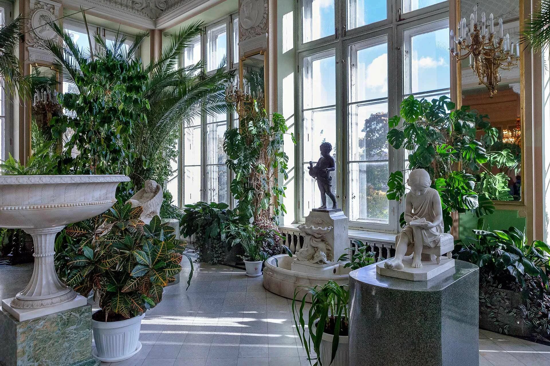 Аничков дворец оранжерея. Зимний сад александры федоровны. Зимний сад мраморного дворца. Мраморный дворец санкт-петербург зал. Оранжерея аничкова дворца.