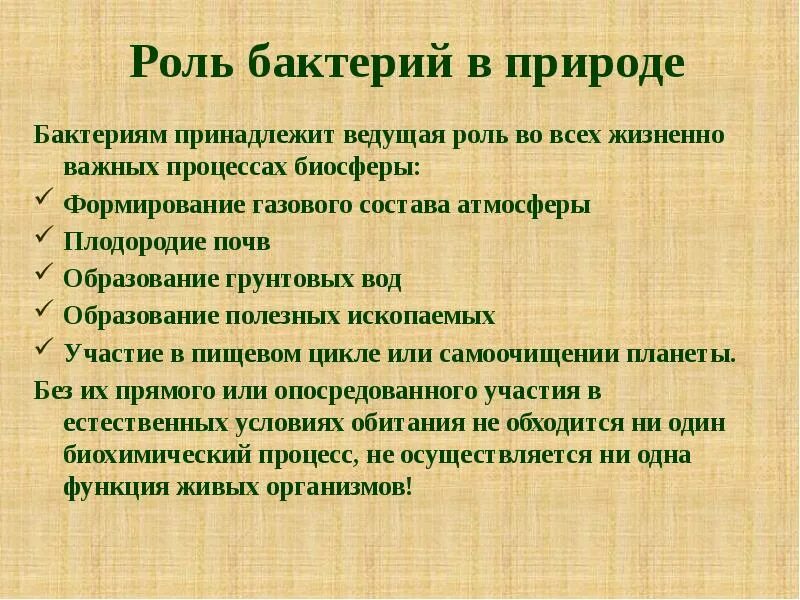 Значение бактерий и грибов. Роль бактерий в природе. Роль бактерий в биосфере. Роль микроорганизмов в биосфере. Роль микроорганизмов в круговороте веществ.