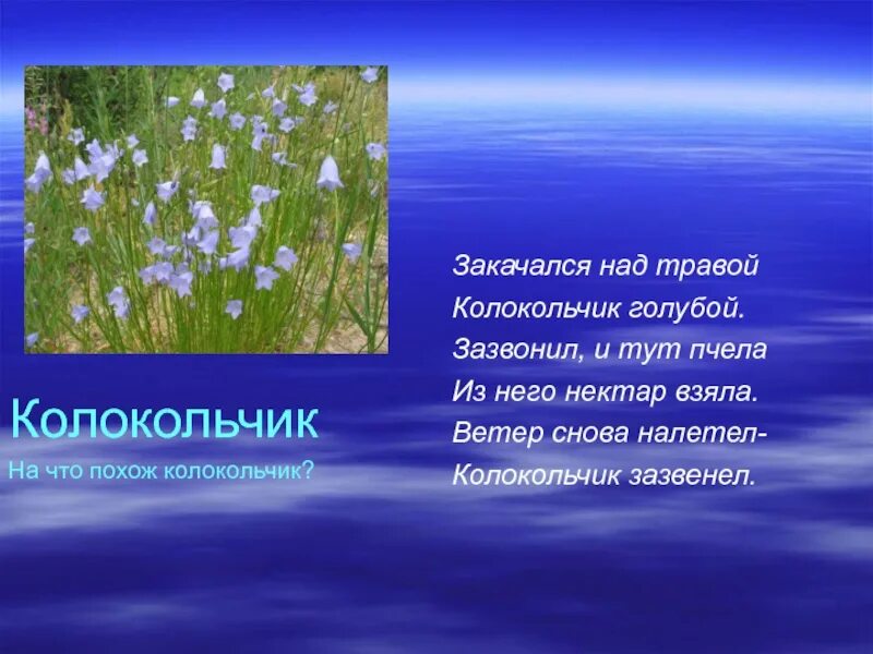 Зазвонил колокольчик. Закачался над травой колокольчик. Колокольчик травник. Что можно рассказать о колокольчике. Рассказ о колокольчике 3 класс.