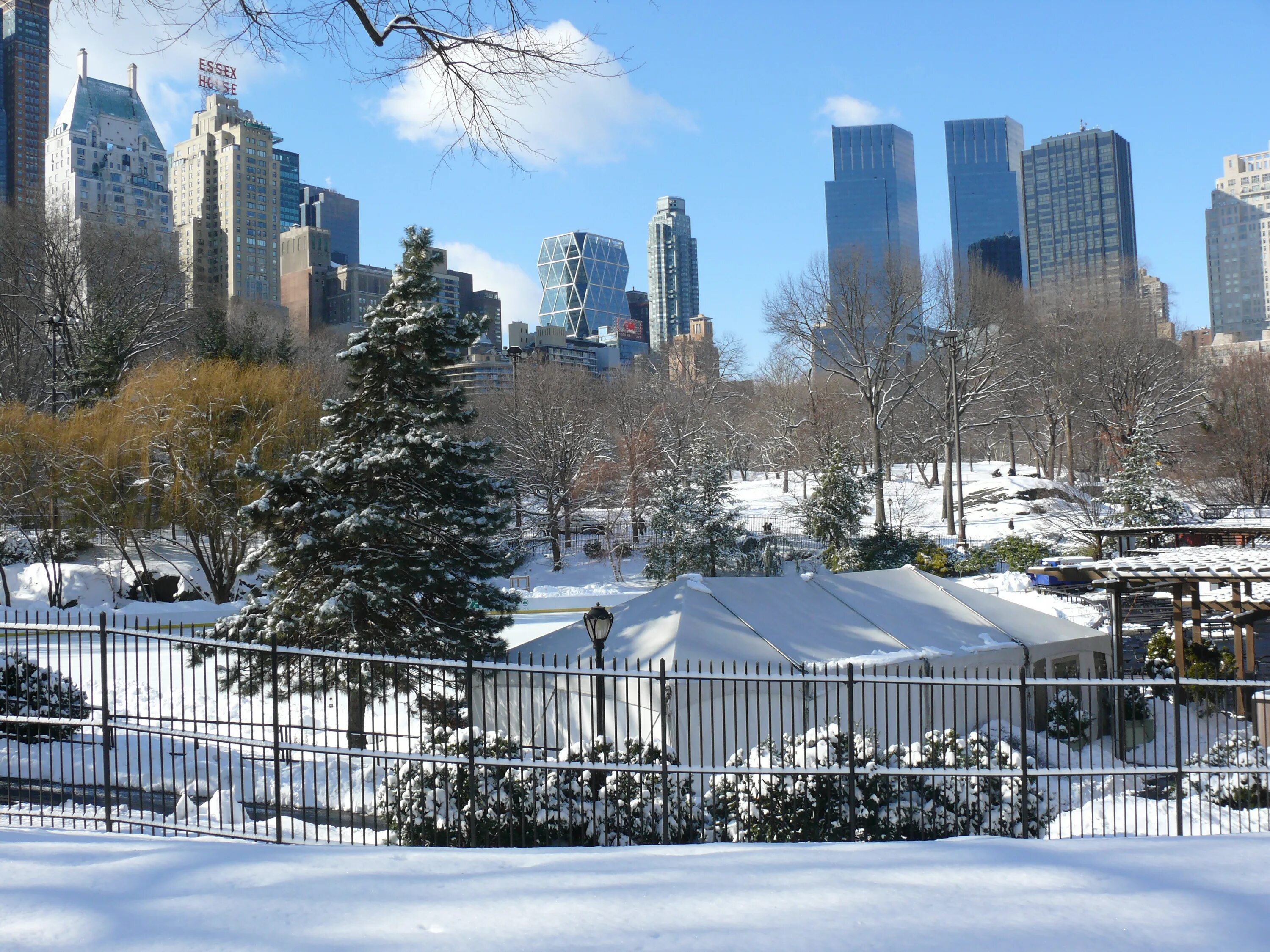 Америка зимнее время. Центральный парк Манхеттен Нью Йорк зима. Нью-Йорк Центральный парк зима. Зимний централ парк Нью-Йорк. Нью-Йорк США Центральный парк зимой.