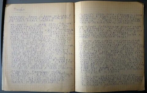 Дневник 17