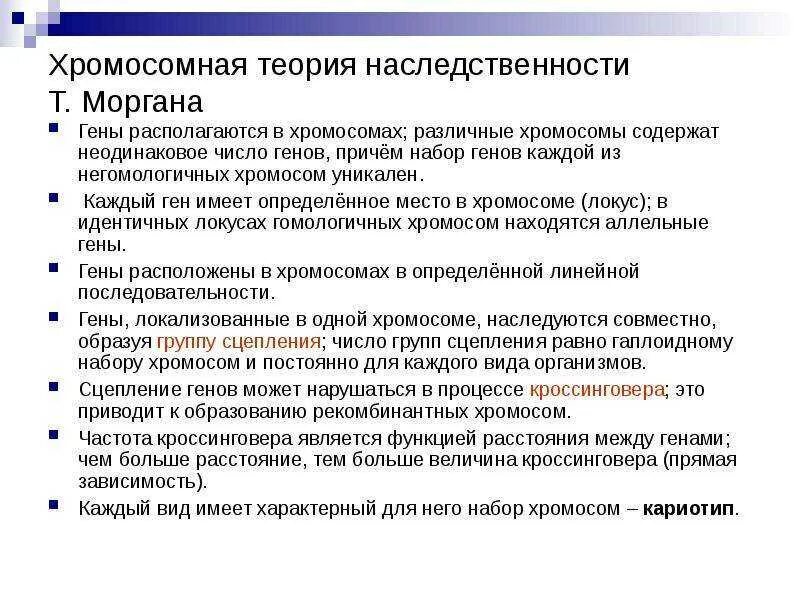 Записать хромосомную теорию наследственности. Теории наследственности т. моргана. основные положения хромосомной теории моргана кратко. основные положения хромосомной наследственности. основные положения теории наследственности т. моргана..