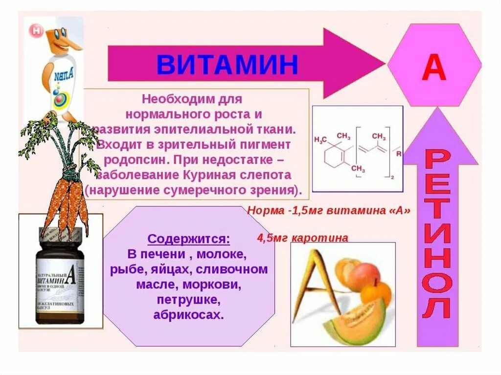 Реклама сидра может содержать информацию о витаминах. Сообщение о витаминах 9 класс биология. Сообщение на тему витамины по биологии 8 класс. Сообщение о витаминах биология 8 класс. Доклад по биологии 8 про витамины.