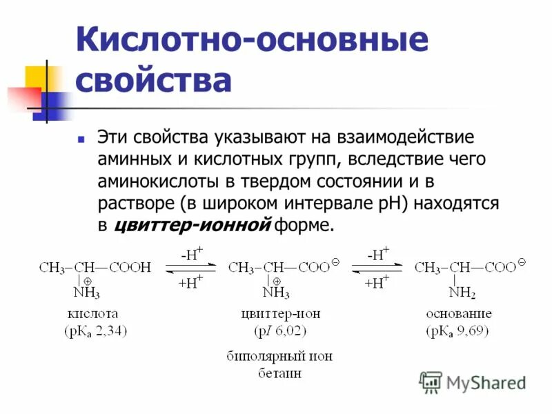 Кислотно основные аминокислоты