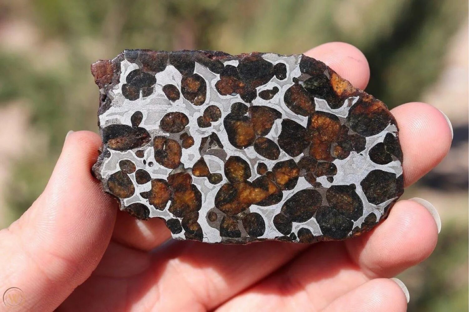 углеродосодержащие метеориты. метеорит sericho. марсианский метеорит – тиссит. метеорит уилламетт. шерготтиты базальты.