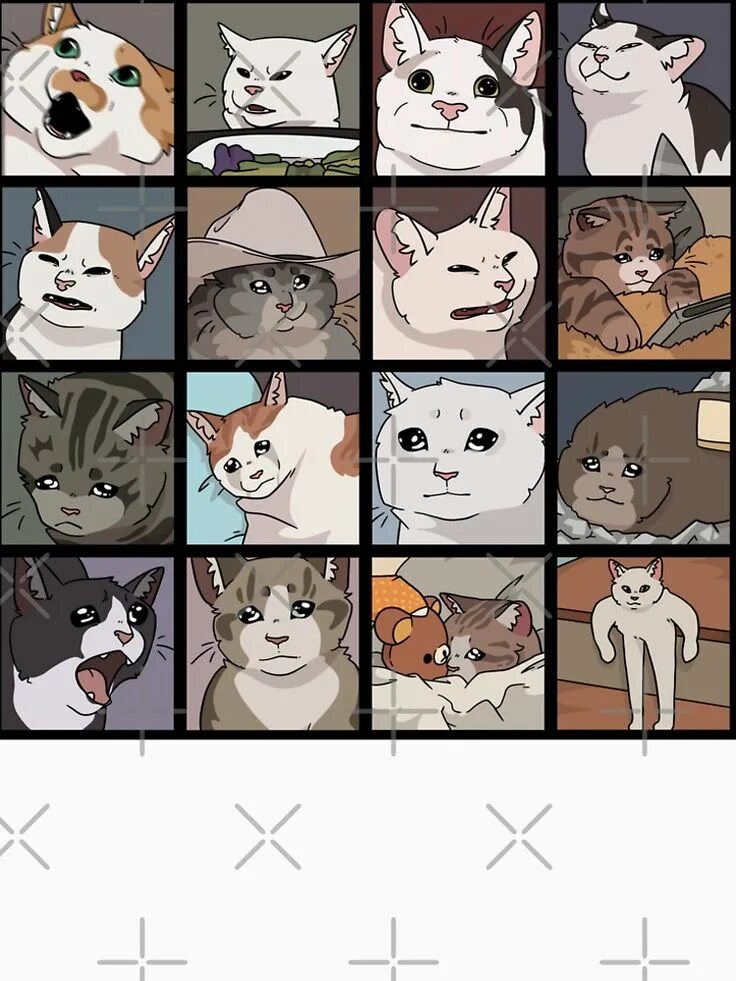 Pin on Pets Funny cat faces, Cat memes, Crazy cats