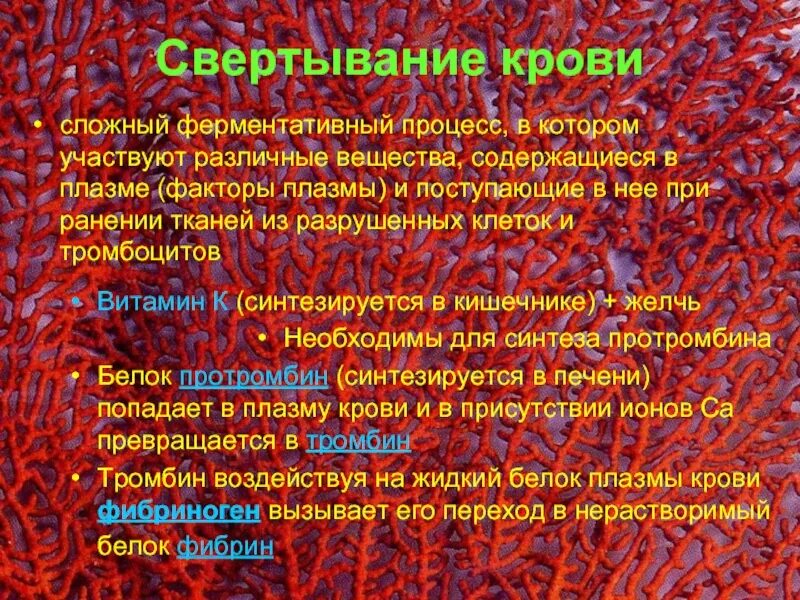 Синтез белков крови в печени. Синтез белков свертывания крови в печени. Свертывание крови печень. Протромбин в печени. В печени синтезируются протомбин.