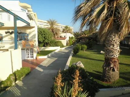 Крит, Aphrodite Beach Club 4* - отзыв туриста.