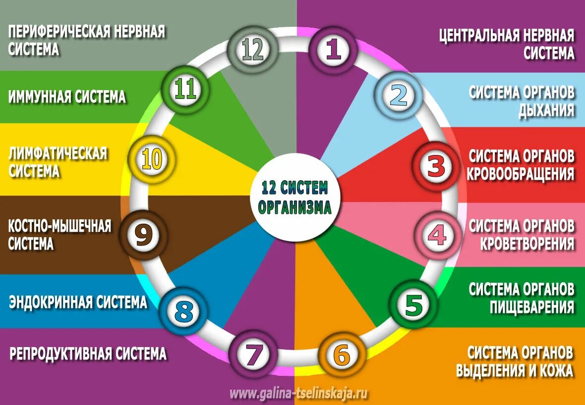 Сколько систем