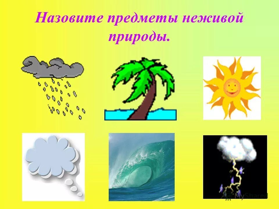 Явления объектов неживой природы. Живая и неживая природа для дошкольников. Неживая природа для дошкольников. Живая неживая природа для детей. Живая и неживая природа картинки.