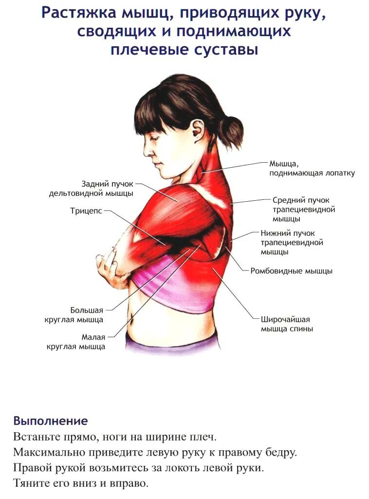 Болит плечо при поднятии. Боли дельтовидной мышцы плечевого сустава. Растяжка дельтовидных мышц. Растяжка мышц плечевого сустава. Мышцы поднимающие плечо.