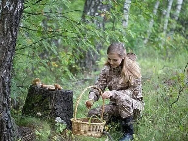 Фотосессия с грибами. Девочка в лесу собирает грибы. Сбор грибов в лесу. Фотомессия в лес за гридами.