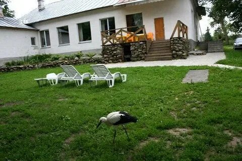 Мишкина дача