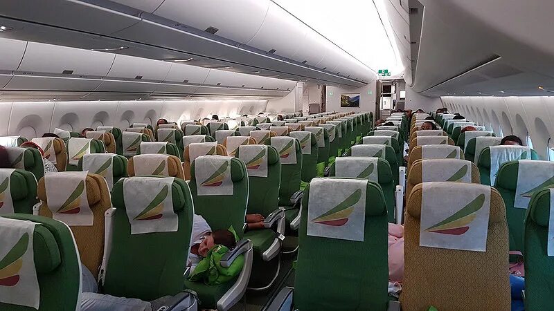 Ethiopian Airlines a350 салон. Ethiopian Airlines 350-900 Business class. 787 Эфиопиан Эйр салон. Ethiopian Airlines Business class 737. Ethiopian airlines отзывы