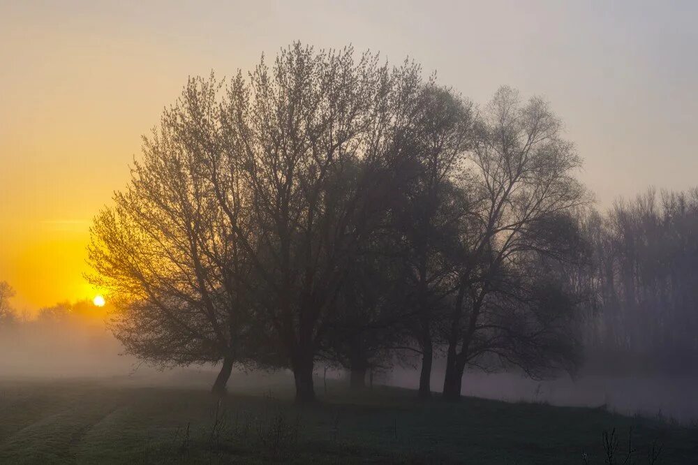 где то за лесом выходит солнце но