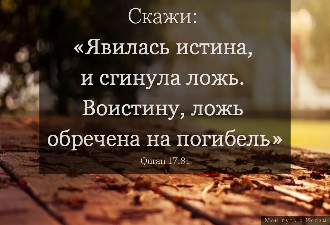 Ложь обречена на погибель. Горе тому кто считает истину ложью. Сгинула ложь. Явилась истина и сгинула ложь воистину ложь обречена на погибель. Явилась истина и сгинула ложь воистину ложь обречена на погибель.