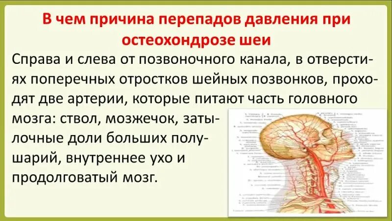 Может от. Шейный остеохондроз и давление. Шейный остеохондроз и гипертония. Скачки давления при шейном остеохондрозе. Может ли повышаться давление при шейном остеохондрозе.