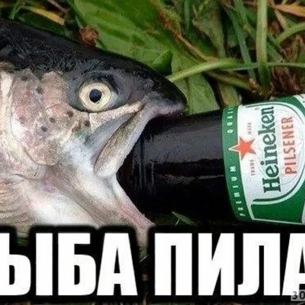 Нихуя у тебя зубы