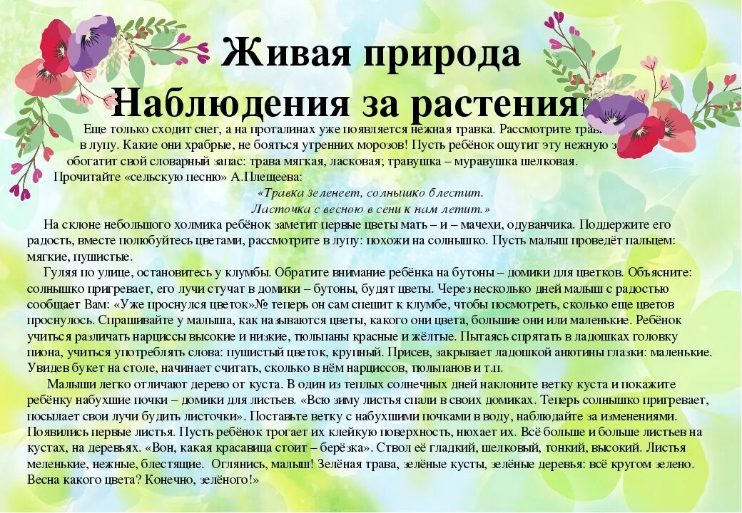 Работа с родителями в старшей группе апрель. Наблюдения с детьми летом. Наблюдения за растительностью. Весенние наблюдения в природе. Рекомендации для родителей весной.