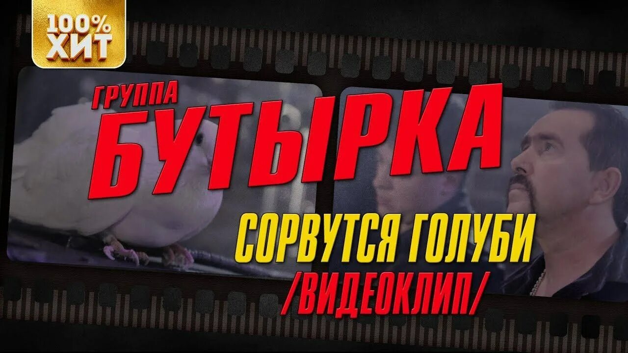 Бутырка голуби. Бутырка Сорвутся голуби. Сорвутся голуби. Песня бутырка про голубей. Песни бутырки голуби