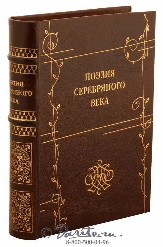 Русский в стихах книги. Поэзия серебряного века. Литература серебряного века. Книга серебряный век. Книга про писателей серебряного века.