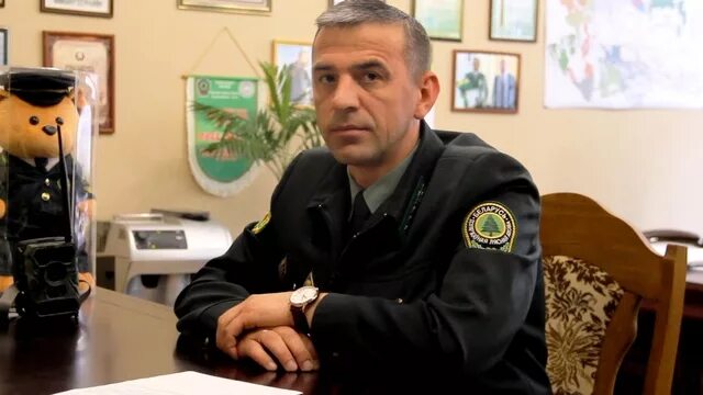 гомельское лесничество