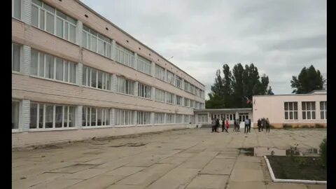 Гимназия 12 донецк ростовская область