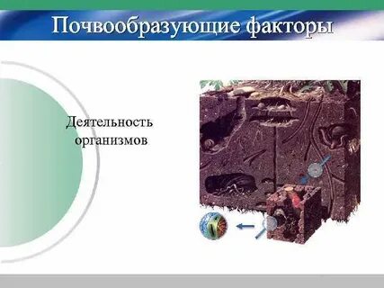 Контрольная почвы