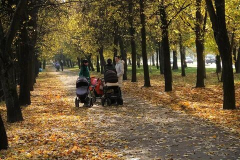 Осень парк люди