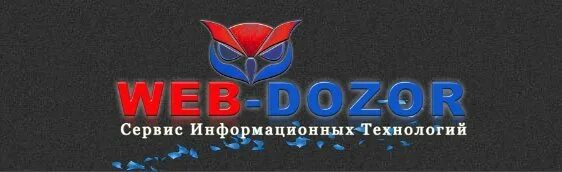 Дозор новосибирск. Дозор Краснодар. Дорожный дозор Киров. Интернет фирма дозор Саратов. Web Дозорный.