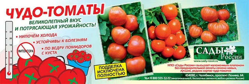 Сайт сады россии челябинск каталог. Сады России каталог Челябинск 2023 помидоры. Семена сады России Челябинск. Сады России Челябинск томаты. Каталог семян сады России.